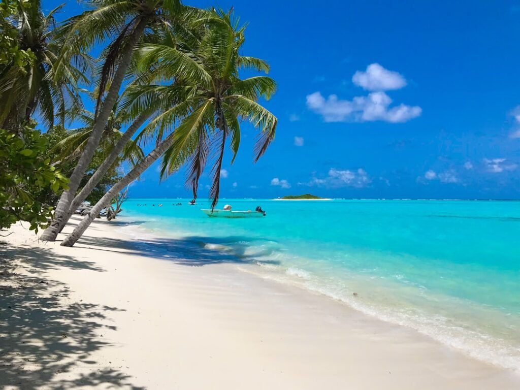 Paisagem tropical ilustrativa; não representa um resort parceiro